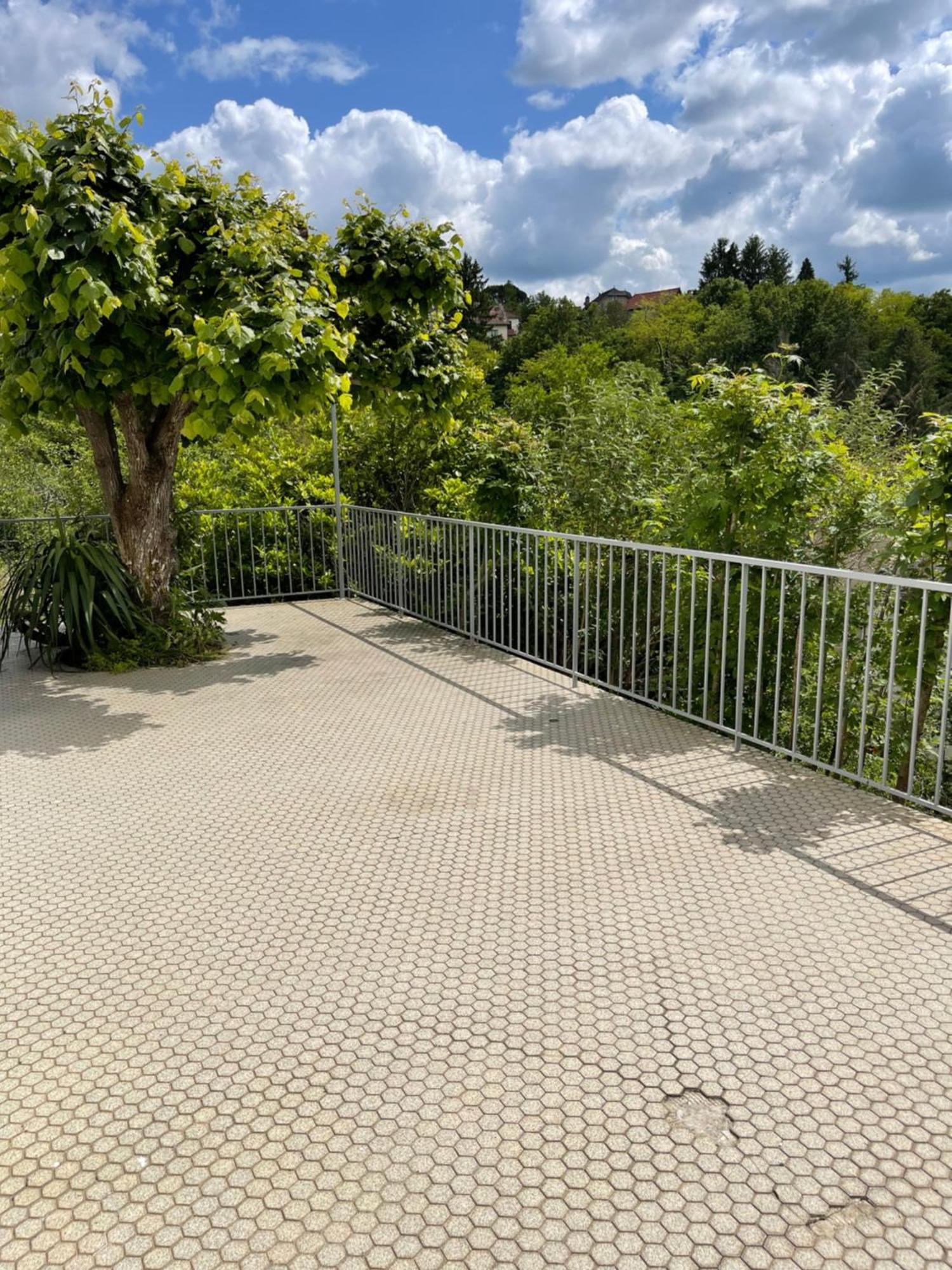 Paisible Eden Standing Terrasse - Magnifique Vue - Esprit Nature En Pleine Ville Тюль Экстерьер фото
